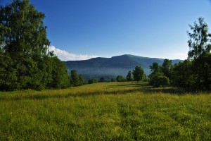 Green Bieszczady mountains in Poland